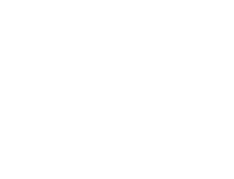 Økonomisk veiledning